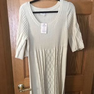 Pink rose sweater dress size 2x